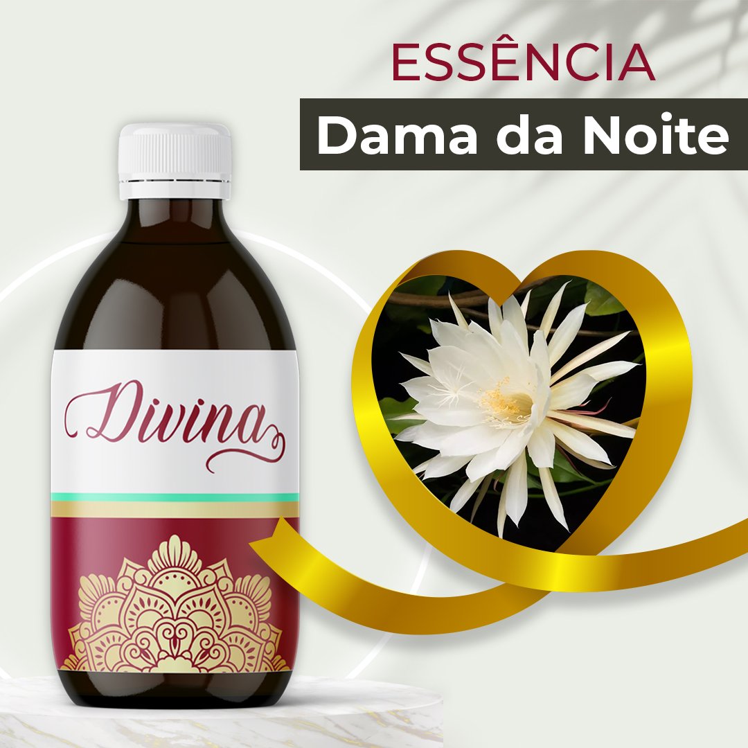 DAMA DA NOITE