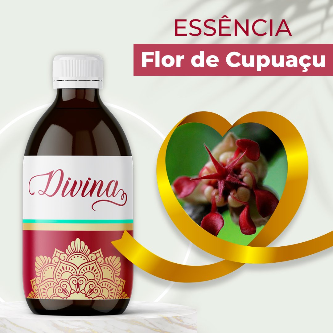 FLOR DE CUPUAÇU