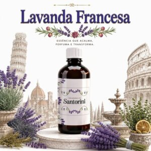 Essência Para Ambientes e Cosméticos – Lavanda Francesa | Aromatizador, Body Splash e Velas